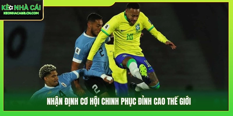 Danh Sách Tuyển Brazil WC 2026 Hé Lộ Nhiều Điểm Đáng Chú Ý 4 Đánh giá khả năng vươn tới ngôi vương thế giới