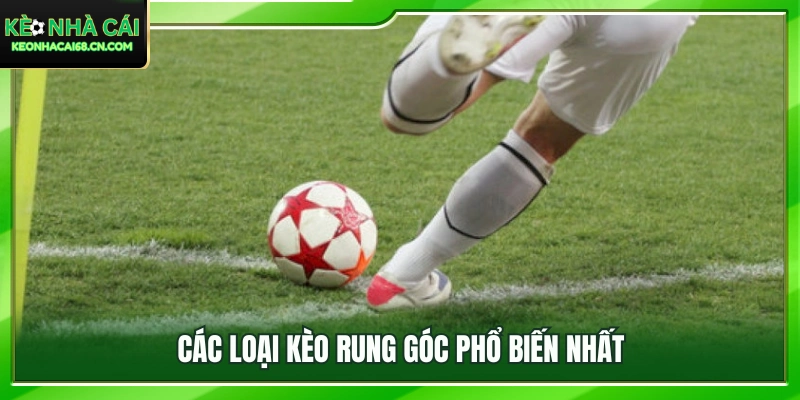 Kèo Rung Góc Là Gì? Hướng Dẫn Cách Chơi Luôn Chính Xác 3 Tổng hợp những kèo rung góc được lựa chọn nhiều hiện nay