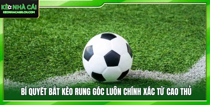 Kèo Rung Góc Là Gì? Hướng Dẫn Cách Chơi Luôn Chính Xác 4 Mẹo phân tích trận đấu để lựa chọn kèo hợp lý hơn